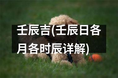 壬辰吉(壬辰日各月各时辰详解)