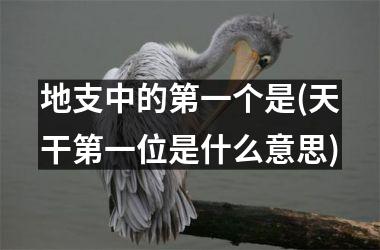 <h3>地支中的第一个是(天干第一位是什么意思)