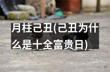 <h3>月柱己丑(己丑为什么是十全富贵日)