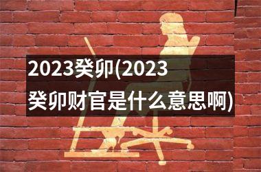 2023癸卯(2023癸卯财官是什么意思啊)