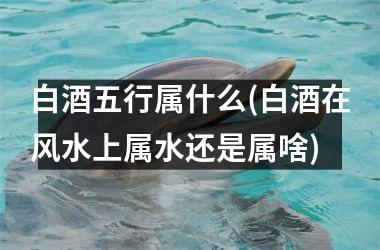 <h3>白酒五行属什么(白酒在风水上属水还是属啥)