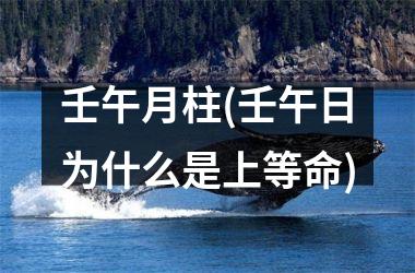 <h3>壬午月柱(壬午日为什么是上等命)