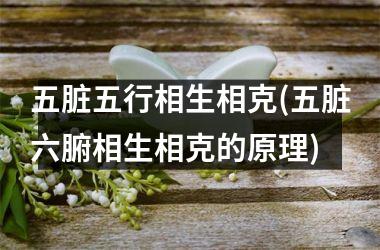 <h3>五脏五行相生相克(五脏六腑相生相克的原理)