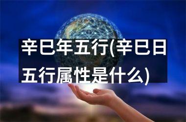 <h3>辛巳年五行(辛巳日五行属性是什么)