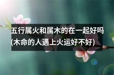 <h3>五行属火和属木的在一起好吗(木命的人遇上火运好不好)