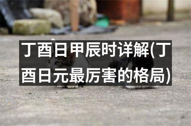 丁酉日甲辰时详解(丁酉日元最厉害的格局)
