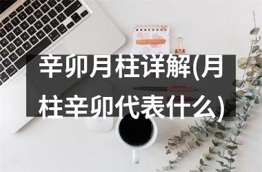 <h3>辛卯月柱详解(月柱辛卯代表什么)