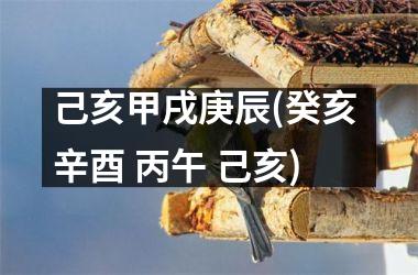 <h3>己亥甲戌庚辰(癸亥 辛酉 丙午 己亥)