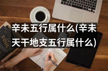 <h3>辛未五行属什么(辛未天干地支五行属什么)