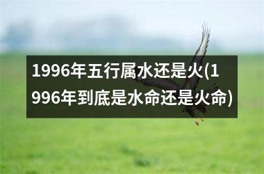 <h3>1996年五行属水还是火(1996年到底是水命还是火命)