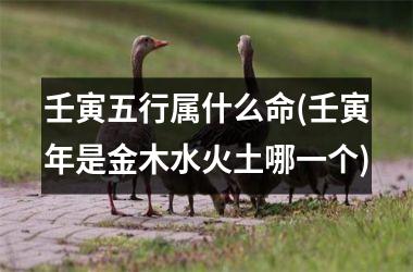 <h3>壬寅五行属什么命(壬寅年是金木水火土哪一个)