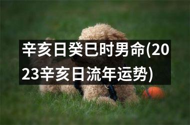 <h3>辛亥日癸巳时男命(2025辛亥日流年运势)