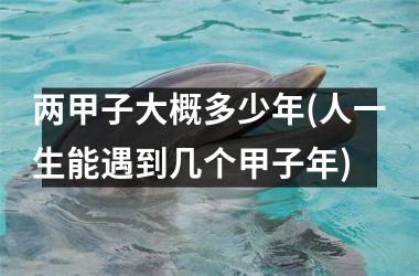 <h3>两甲子大概多少年(人一生能遇到几个甲子年)