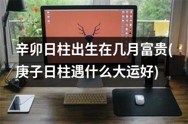 <h3>辛卯日柱出生在几月富贵(庚子日柱遇什么大运好)