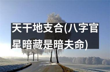 <h3>天干地支合(八字官星暗藏是暗夫命)