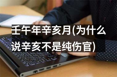 <h3>壬午年辛亥月(为什么说辛亥不是纯伤官)