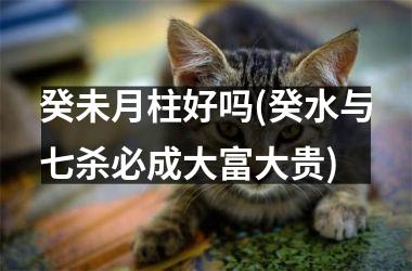 癸未月柱好吗(癸水与七杀必成大富大贵)