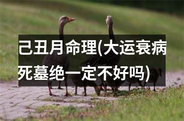 <h3>己丑月命理(大运衰病死墓绝一定不好吗)