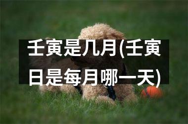 壬寅是几月(壬寅日是每月哪一天)