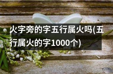 <h3>火字旁的字五行属火吗(五行属火的字1000个)
