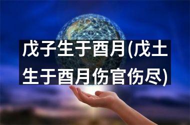 戊子生于酉月(戊土生于酉月伤官伤尽)