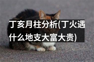 <h3>丁亥月柱分析(丁火遇什么地支大富大贵)