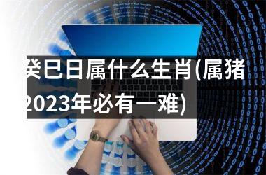 <h3>癸巳日属什么生肖(属猪2025年必有一难)