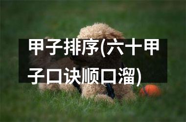 <h3>甲子排序(六十甲子口诀顺口溜)