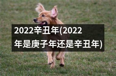 2022辛丑年(2022年是庚子年还是辛丑年)