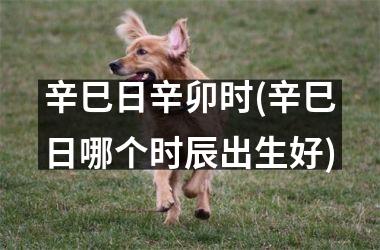 <h3>辛巳日辛卯时(辛巳日哪个时辰出生好)