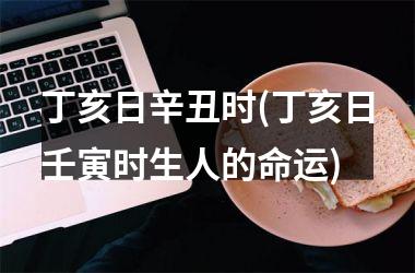 <h3>丁亥日辛丑时(丁亥日壬寅时生人的命运)