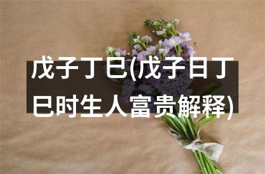 <h3>戊子丁巳(戊子日丁巳时生人富贵解释)
