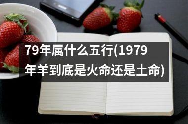 <h3>79年属什么五行(1979年羊到底是火命还是土命)