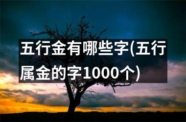 <h3>五行金有哪些字(五行属金的字1000个)