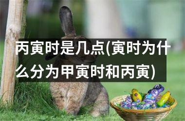 <h3>丙寅时是几点(寅时为什么分为甲寅时和丙寅)