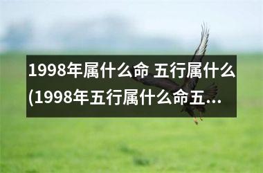 <h3>1998年属什么命 五行属什么(1998年五行属什么命五行缺什么)