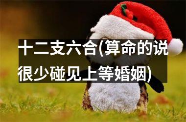 <h3>十二支六合(算命的说很少碰见上等婚姻)