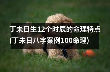<h3>丁未日生12个时辰的命理特点(丁未日八字案例100命理)