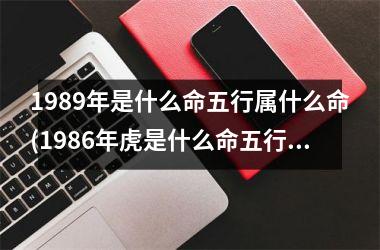<h3>1989年是什么命五行属什么命(1986年虎是什么命五行属什么)