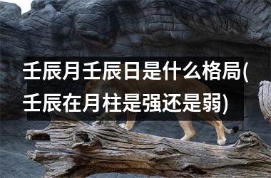 壬辰月壬辰日是什么格局(壬辰在月柱是强还是弱)