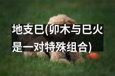 <h3>地支巳(卯木与巳火是一对特殊组合)