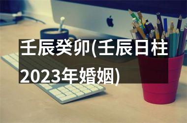 <h3>壬辰癸卯(壬辰日柱2025年婚姻)