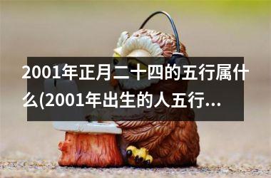 <h3>2001年正月二十四的五行属什么(2001年出生的人五行属什么命)