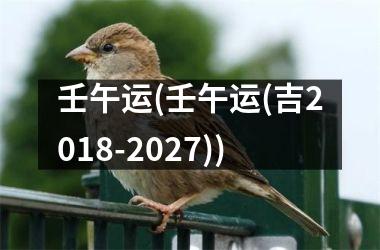 壬午运(壬午运(吉2018-2027))