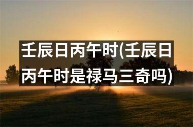 <h3>壬辰日丙午时(壬辰日丙午时是禄马三奇吗)