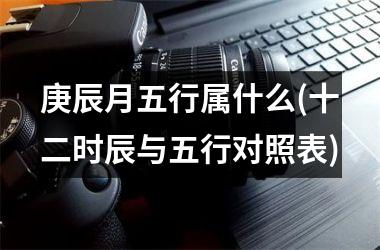 <h3>庚辰月五行属什么(十二时辰与五行对照表)