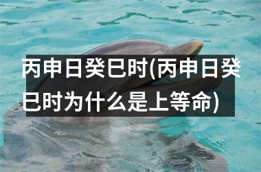 <h3>丙申日癸巳时(丙申日癸巳时为什么是上等命)