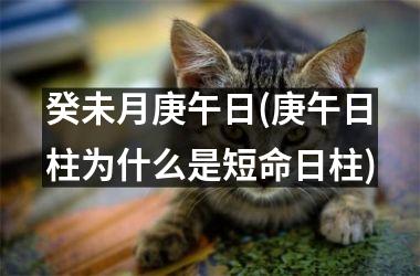 <h3>癸未月庚午日(庚午日柱为什么是短命日柱)