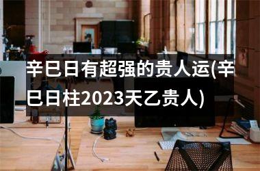 辛巳日有超强的贵人运(辛巳日柱2023天乙贵人)