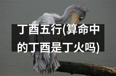 <h3>丁酉五行(算命中的丁酉是丁火吗)